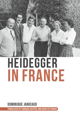 Heidegger vo Francúzsku - Heidegger in France
