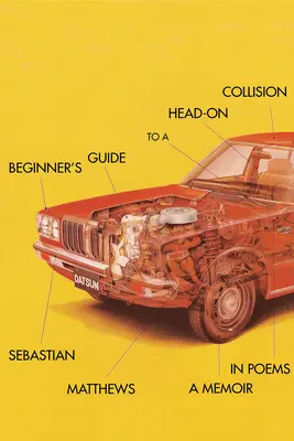 Sprievodca začiatočníka pri čelnej zrážke - Beginner's Guide to a Head-On Collision