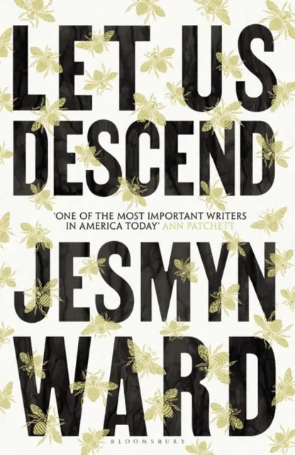Nechajte nás zostúpiť - výber knižného klubu Oprah - Let Us Descend - An Oprah's Book Club Pick