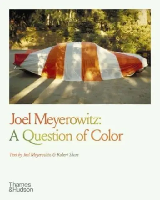 Joel Meyerowitz: Otázka farby - Joel Meyerowitz: A Question of Color