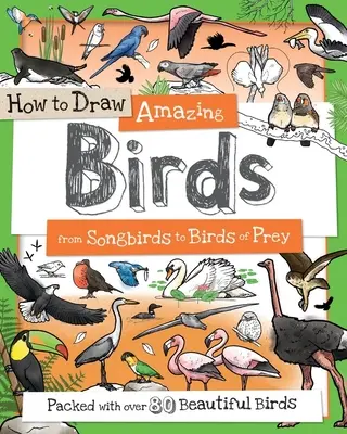 Ako nakresliť úžasné vtáky: Od spevavcov po dravé vtáky - How to Draw Amazing Birds: From Songbirds to Birds of Prey