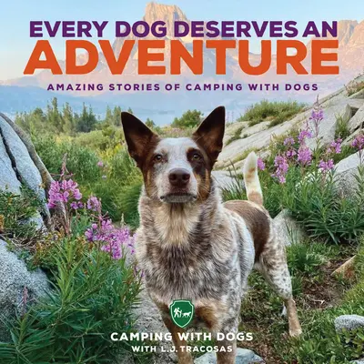 Každý pes si zaslúži dobrodružstvo: Úžasné príbehy o kempovaní so psami - Every Dog Deserves an Adventure: Amazing Stories of Camping with Dogs