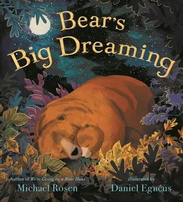 Medvedíkove veľké sny - Bear's Big Dreaming