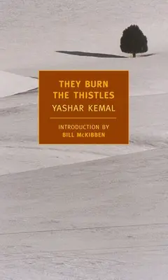 Pália bodliaky - They Burn the Thistles