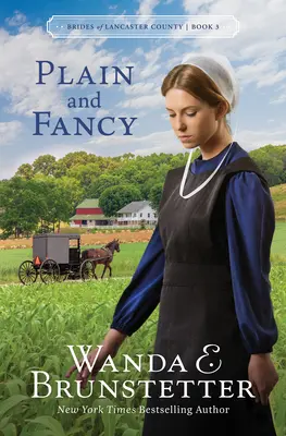Obyčajné a fantastické: Vychytávky a nápady: 3. diel - Plain and Fancy: Volume 3