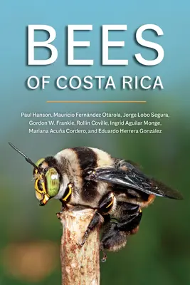 Kostarické včely - Bees of Costa Rica