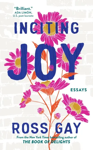 Podnecovanie radosti - Eseje - Inciting Joy - Essays