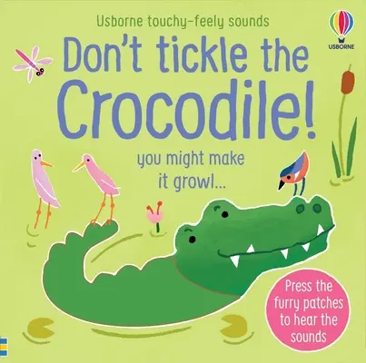 Nešklbte krokodíla! - Don't Tickle the Crocodile!