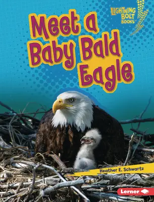 Zoznámte sa s mláďaťom orla skalného - Meet a Baby Bald Eagle