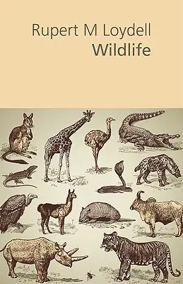 Divoká príroda - Wildlife