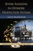 Silné zanášanie v ťažobných systémoch na mori - Severe Slugging in Offshore Production Systems