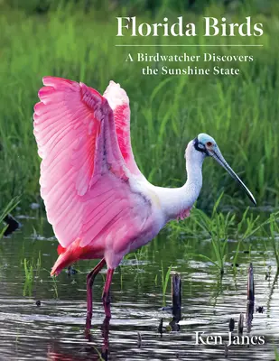 Vtáky Floridy: Pozorovateľ vtákov objavuje slnečný štát - Florida Birds: A Birdwatcher Discovers the Sunshine State