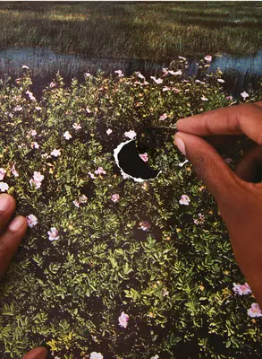 Objektív na rod a ekológiu - Re/Sisters: A Lens on Gender and Ecology