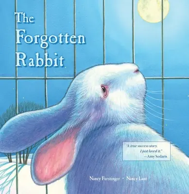 Zabudnutý králik - The Forgotten Rabbit