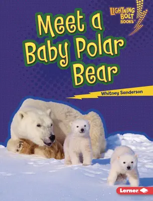 Zoznámte sa s malým ľadovým medveďom - Meet a Baby Polar Bear
