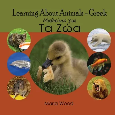 Učenie o zvieratách - gréčtina - Learning About Animals- Greek
