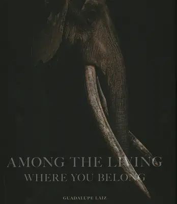 Medzi živými: Kde patríš - Among the Living: Where You Belong