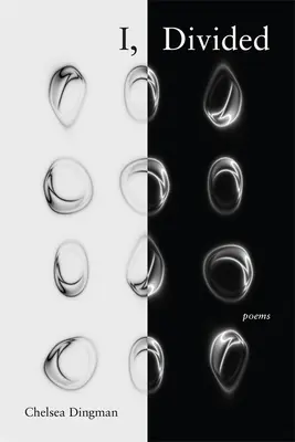 Ja, rozdelený: Básne - I, Divided: Poems