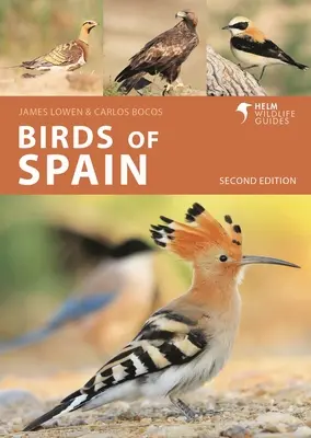 Vtáky Španielska: Druhé vydanie - Birds of Spain: Second Edition