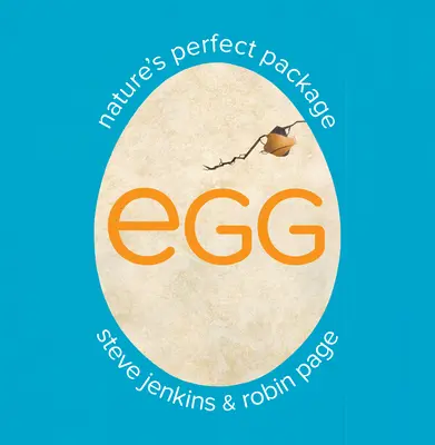 Vajíčko: Dokonalý obal prírody - Egg: Nature's Perfect Package