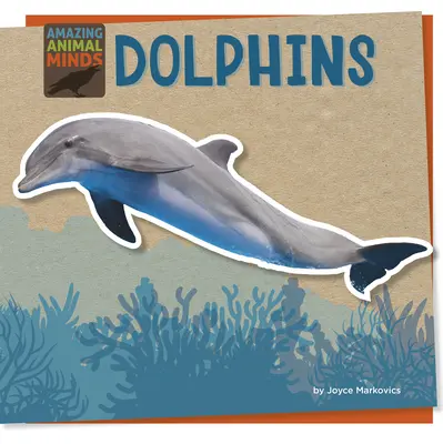 Delfíny - Dolphins