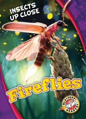 Svetlušky - Fireflies