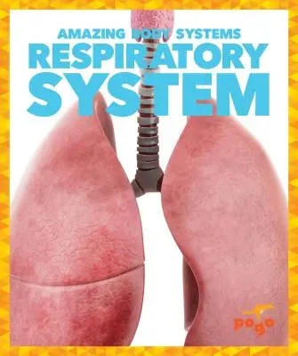 Dýchací systém - Respiratory System