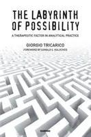 Labyrint možností: Terapeutický faktor v analytickej praxi - The Labyrinth of Possibility: A Therapeutic Factor in Analytical Practice