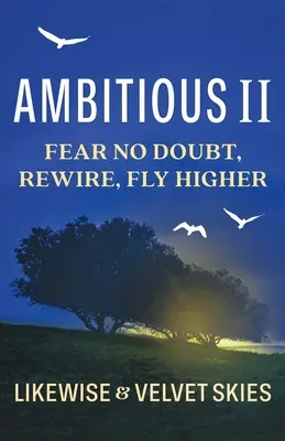 Ambiciózne II: Nebojte sa pochybovať, preorientujte sa, vyleťte vyššie - Ambitious II: Fear No Doubt, Rewire, Fly Higher