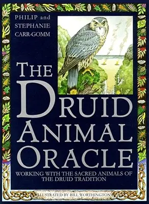 Druidská zvieracia veštiareň - Druid Animal Oracle