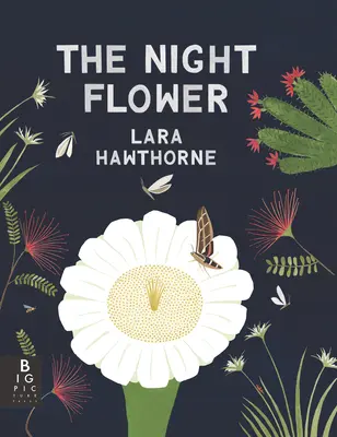 Nočný kvet - The Night Flower