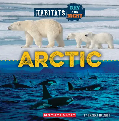 Arktída (Divoký svet: Denné a nočné biotopy) - Arctic (Wild World: Habitats Day and Night)