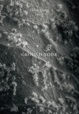 Cline Clanet: Výskumné metódy a metódy výskumu: Ground Noise - Cline Clanet: Ground Noise