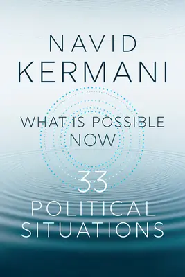 Čo je možné teraz: 33 politických situácií - What Is Possible Now: 33 Political Situations