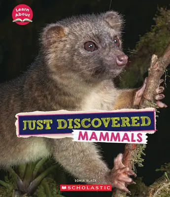 Práve objavené cicavce (Learn About: Animals) - Just Discovered Mammals (Learn About: Animals)