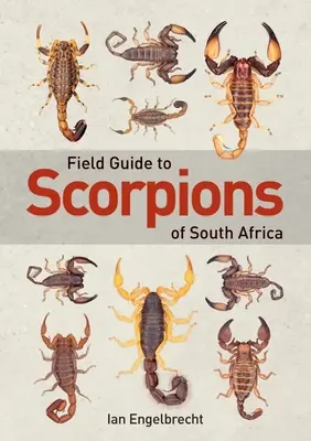 Terénny sprievodca po škorpiónoch južnej Afriky - Field Guide to Scorpions of South Africa