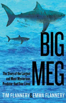 Veľká Meg: Príbeh najväčšieho a najzáhadnejšieho dravca, aký kedy žil - Big Meg: The Story of the Largest and Most Mysterious Predator That Ever Lived