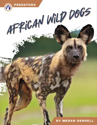 Africké divé psy - African Wild Dogs