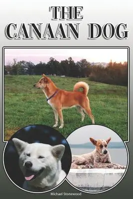 Kanaánsky pes: Úplný a komplexný sprievodca pre majiteľov: Kúpa, vlastníctvo, zdravie, starostlivosť, výcvik, poslušnosť, porozumenie a - The Canaan Dog: A Complete and Comprehensive Owners Guide To: Buying, Owning, Health, Grooming, Training, Obedience, Understanding and