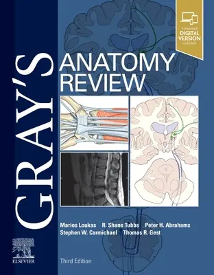 Recenzia Grayovej anatómie - Gray's Anatomy Review