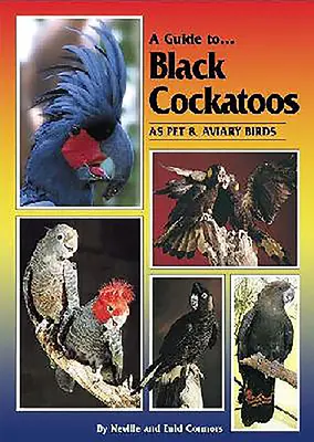 Sprievodca kakadu čiernym ako domácim a voliérovým vtákom - A Guide to Black Cockatoos as Pet & Aviary Birds