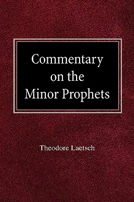 Komentár k menším prorokom - Commentary on the Minor Prophets