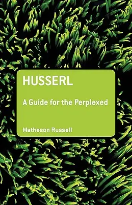 Husserl: Sprievodca pre zmätených - Husserl: A Guide for the Perplexed