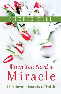 Keď potrebujete zázrak: Sedem tajomstiev viery - When You Need a Miracle: The Seven Secrets of Faith