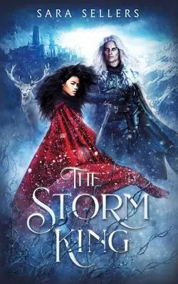 Kráľ búrok: Fantasy romanca od nepriateľov k milencom - The Storm King: An Enemies to Lovers Fantasy Romance