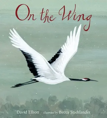 Na krídle - On the Wing