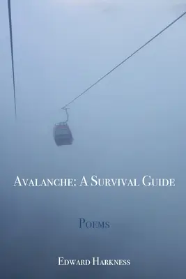 Lavína: Príručka prežitia - Avalanche: A Survival Guide
