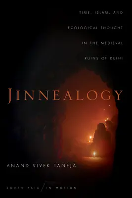 Jinnealogy: Čas, islam a ekologické myslenie v stredovekých ruinách Dillí - Jinnealogy: Time, Islam, and Ecological Thought in the Medieval Ruins of Delhi