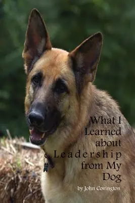 Čo som sa naučil o vodcovstve od svojho psa - What I Learned About Leadership From My Dog