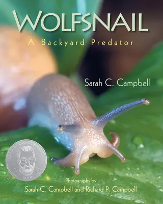 Vlkolak: Dvorný dravec - Wolfsnail: A Backyard Predator